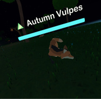 Autumn Vulpes.jpg