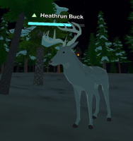 Heathrun Buck.jpg